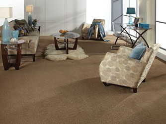 Gallery of Floors - Carpet